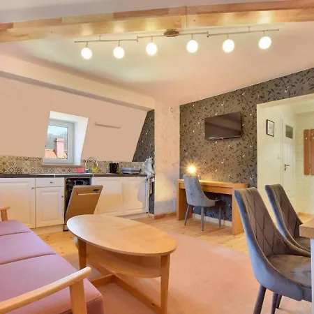 Sloneczna Willa & Sauny Apartamenty Kudowa-Zdrój Zewnętrze zdjęcie