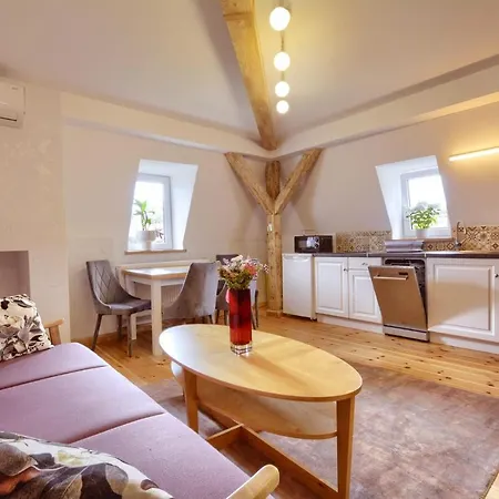 Sloneczna Willa & Sauny Apartamenty Kudowa-Zdrój Zewnętrze zdjęcie