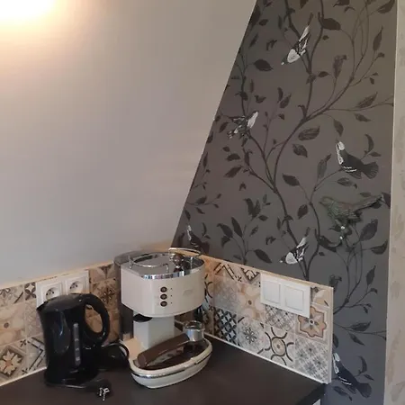Sloneczna Willa & Sauny Apartamenty Kudowa-Zdrój Zewnętrze zdjęcie